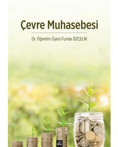 Çevre Muhasebesi