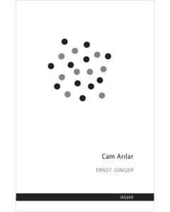 Cam Arılar