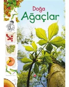 Doğa - Ağaçlar