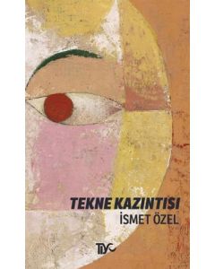 Tekne Kazıntısı