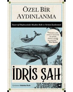 Özel Bir Aydınlanma
