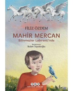 Mahir Mercan - Bilinmezler Labirenti’nde
