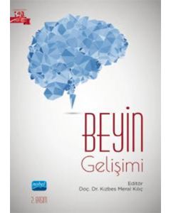 Beyin Gelişimi