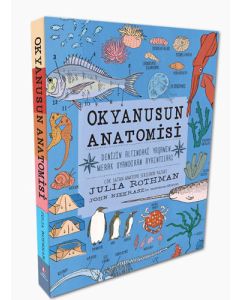 Okyanusun Anatomisi