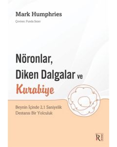 Nöronlar, Diken Dalgalar Ve Kurabiye