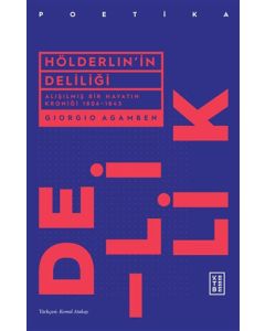 Hölderlin'in Deliliği