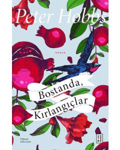 Bostanda, Kırlangıçlar