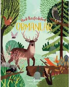 Ormanlar - Hadi Keşfedelim!