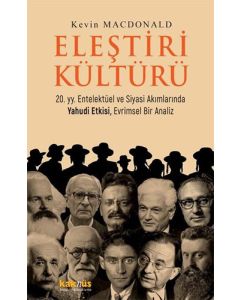 Eleştiri Kültürü