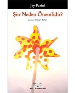 Şiir Neden Önemlidir?