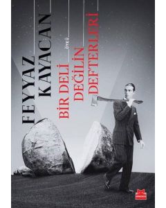 Bir Deli Değilin Defterleri