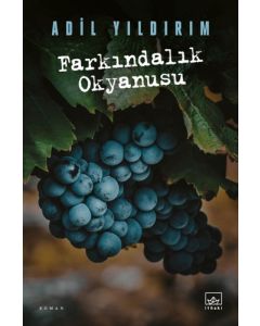 Farkındalık Okyanusu