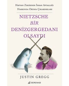 Nietzsche Bir Denizgergedanı Olsaydı