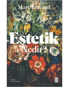 Estetik Nedir?