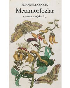 Metamorfozlar