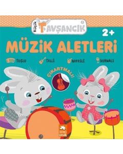Küçük Tavşancık - Müzik Aletleri