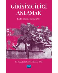 Girişimciliği Anlamak 