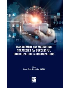 Management and Marketing Strategies for Successful Digitalization in Organizations