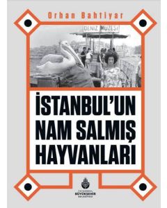 İstanbul’un Nam Salmış Hayvanları
