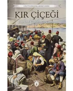 Kır Çiçeği 