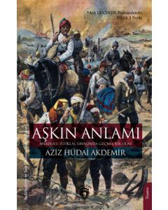 Aşkın Anlamı
