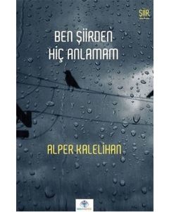 Ben Şiirden Hiç Anlamam