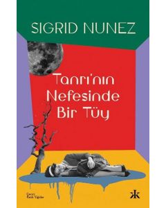 Tanrı'nın Nefesinde Bir Tüy