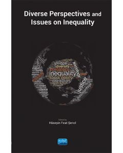 Diverse Perspectives and Issues on Inequality