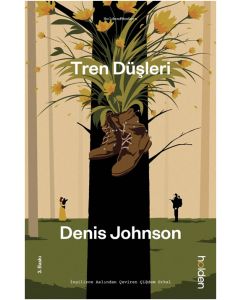 Tren Düşleri