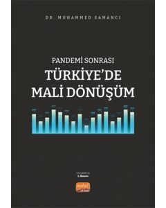 Pandemi Sonrası Türkiye’de Mali Dönüşüm