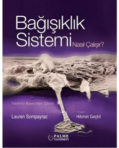 Bağışıklık Sistemi Nasıl Çalışır?