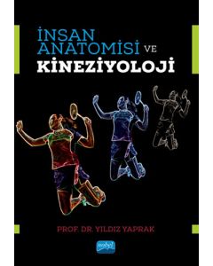İnsan Anatomisi ve Kineziyoloji