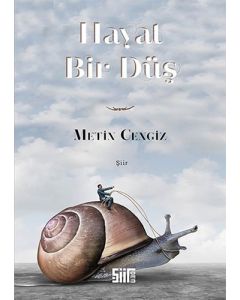 Hayat Bir Düş