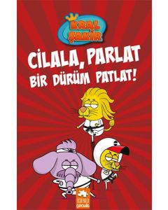 Kral Şakir 13 (Ciltli)