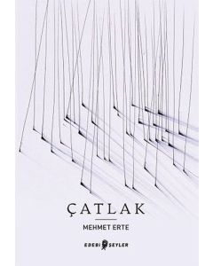 Çatlak
