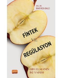 Fintek ve Regülasyon
