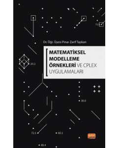 Matematiksel Modelleme Örnekleri ve CPLEX Uygulamaları