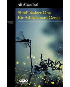 Şimdi Sadece Ona Bir Ad Koymam Gerek