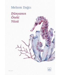 Dünyanın Öteki Yüzü