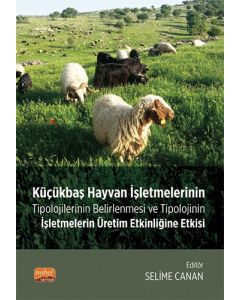 Küçükbaş Hayvan İşletmelerinin Tipolojilerinin Belirlenmesi ve Tipolojinin İşletmelerin Üretim Etkinliğine Etkisi
