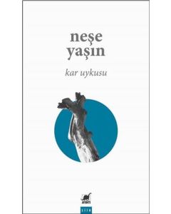 Kar Uykusu