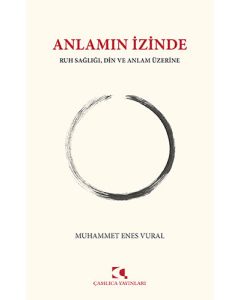 Anlamın İzinde