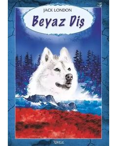 Beyaz Diş