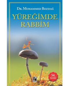 Yüreğimde Rabbim