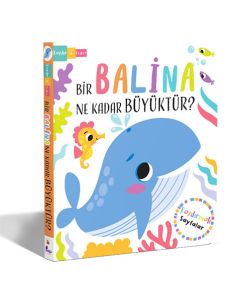 Bir Balina Ne Kadar Büyüktür? – Kaydır + Keşfet (Ciltli)