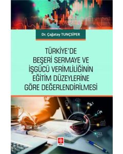 Türkiye'de Beşeri Sermaye ve İşgücü Verimliliğinin Eğitim Düzeylerine Göre Değerlendirilmesi