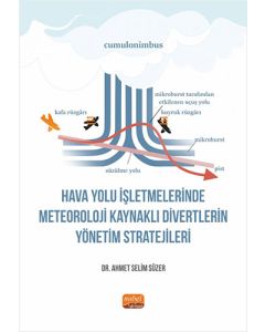 Hava Yolu İşletmelerinde Meteoroloji Kaynaklı Divertlerin Yönetim Stratejileri