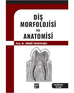 Diş Morfolojisi ve Anatomisi