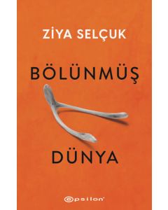 Bölünmüş Dünya