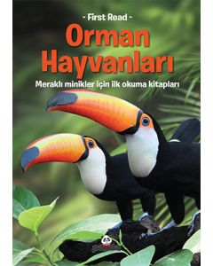 Orman Hayvanları